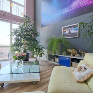 Sprzedaz-Zielona-Gora-Strumykowa-26B-Salon-6