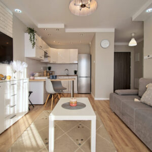 najem-zielona-gora-lezyca-inwestycyjna-24-salon-1