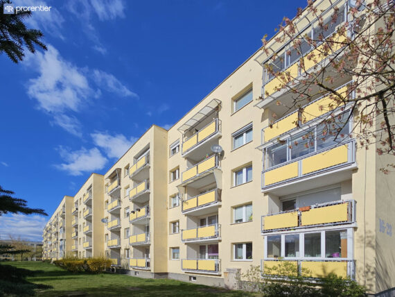 20260408_155207-edit-logo